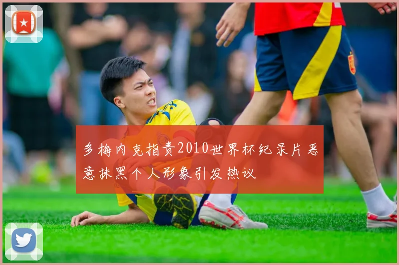 多梅内克指责2010世界杯纪录片恶意抹黑个人形象引发热议