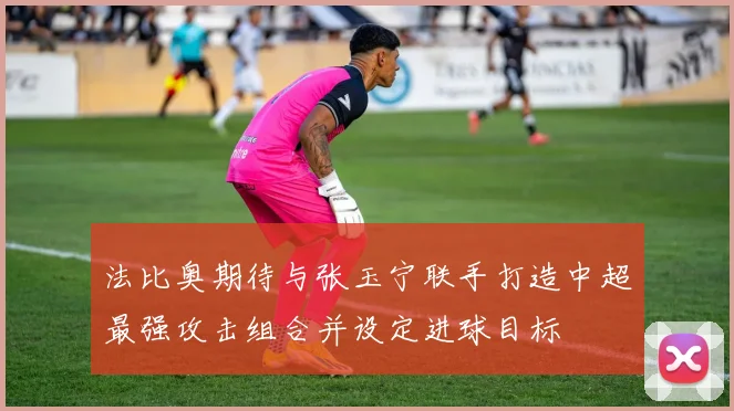 法比奥期待与张玉宁联手打造中超最强攻击组合并设定进球目标