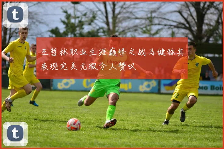 王哲林职业生涯巅峰之战马健称其表现完美无瑕令人赞叹